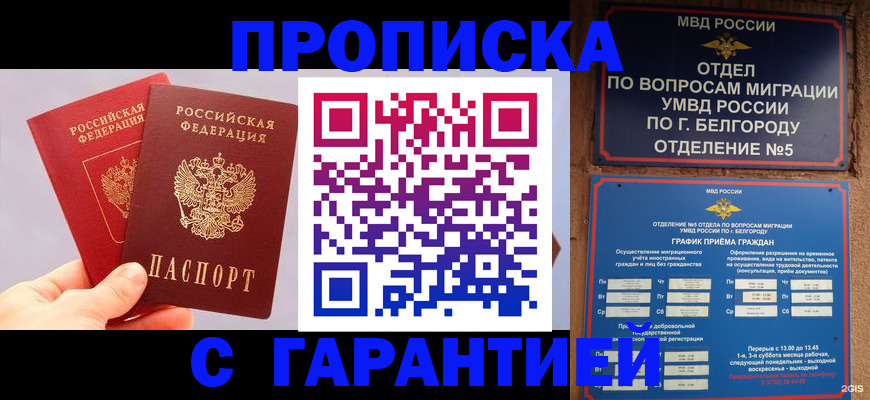 прописка 2025 в Данилове